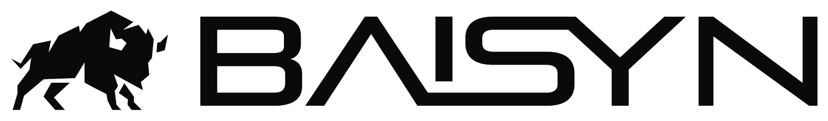 BAISYN logo
